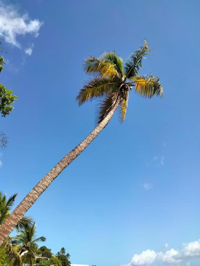 Villa Nautilia, Vue Mer, Proche Plage Les Trois-Ilets Extérieur photo